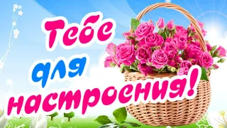 Тебе от меня букет и теплый привет!