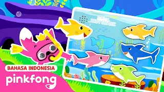 Kumpulan Petak Umpet dengan Keluarga Hiu | Kumpulan Kartun Anak Baby Shark | Pinkfong Indonesia