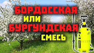 СРАВНЕНИЕ СМЕСЕЙ, ЧТО ЛУЧШЕ? КАКОЙ РЕЦЕПТ? КАК СМЕШАТЬ И ОБРАБОТАТЬ? ОТВЕТЫ В ВИДЕО