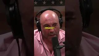 Why Did You Think You're Insane - Joe Rogan