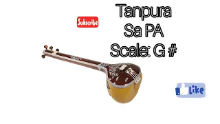 scale G # tanpura  || স্কেল  G # তানপুরা  || Best scale for Child & Female || Best for  Meditation.