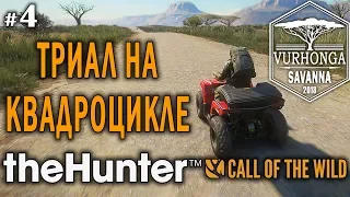 theHunter Call of the Wild #4 🔫 - Триал на Квадроцикле - Винтовка - Спрингбок, Куду