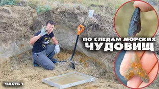 Этим находкам 100 миллионов лет | Большая экспедиция по следам морских чудовищ | Часть 1