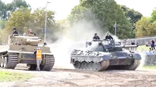 tiger day leopard1 leaves the arena 4k video