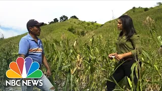 Climate Change In Guatemala: Between Starvation And Migration