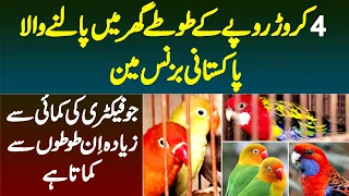 4 Crore Ke Parrots Ghar Me Palne Wala Pakistani Businessman Jo Factory Ki Kamai Se Ziada Kamata Hai