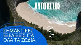 ΑΚΑΣ ζώδια Αύγουστος σε συνδυασμό με [αστρολογία αριθμολογία & ταρω]