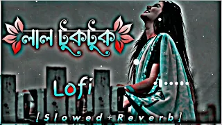 Oi Lal Tuktuk Shari Pora Maiya Lofi song || Sabbir Ahmed || (slowed+Reverb) #lofi @sohompiyus5867