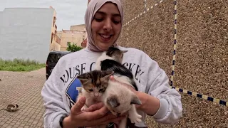 One meow was enough from mama cat to bring her sweet kittens out to meet me.