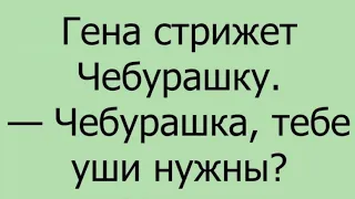 Юмор.Веселые анекдоты для настроения и позитива.