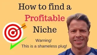 How to find a profitable niche (in under 1 hour)