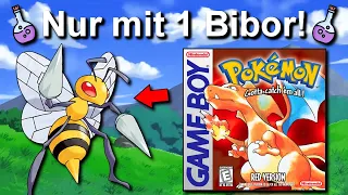 Kann man Pokemon Rot/Blau mit NUR einem BIBOR durchspielen? (+ möglichst wenig Level)