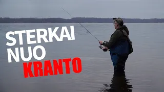 Naktis, vobleriai ir sterkai - su spiningu iki ledo