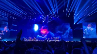 Avicii - Waiting For Love (ft. Simon Aldred) @Avicii Tribute Concert