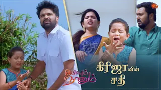 Abiyum Naanum - Best Scenes | 23 Jan 2021 | Sun TV Serial | Tamil Serial