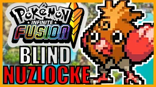 We Tried A Pokemon Infinite Fusion Blind Nuzlocke (Part 1)