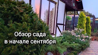 Обзор сада в начале осени.