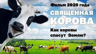 Фильм Священная корова 2020 - карнивор и кето диета!