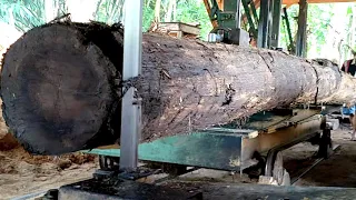 7 meter kayu jati bahan balok joglo pesanan bos buah alpukat proses penggrajian di sawmill indonesia