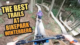 THE 3 BEST MTB TRAILS AT BIKEPARK WINTERBERG