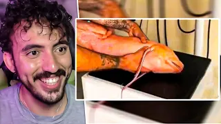 O veterinário SALVOU a vida desse PEIXE - Andrezitos | Leozin React