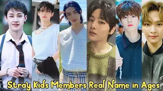 Stray Kids Members Real Name and Ages 2023