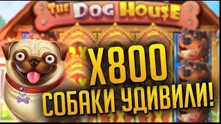 ПОЙМАЛ ЗАНОС В БОНУСКЕ ЗА 70.000Р В DOG HOUSE MEGAWAYS И КАМБЕКНУЛ ВЕСЬ БАЛАНС