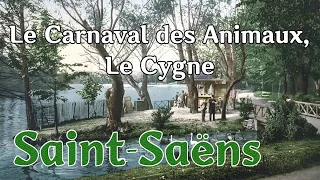 Saint-Saëns - The Swan. Le Cygne.  생상스 - 동물의 사육제, 백조