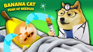 Banana Cat is really fraid of Needles! 😿😿 | BANANA CAT SERIES 🍌🐱 Happy Cat Crying MEME 😿