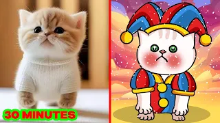 CAT MEMES: WHEN YOUR CAT LOOKS LIKE THE AMAZING DIGITAL CIRCUS