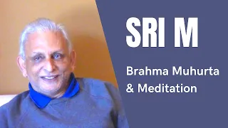 Brahma Muhurta and Meditation | Sri M