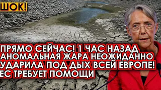 Прямо сейчас! 1 час назад аномальная жара неожиданно ударила под дых всей Европу! ЕС требует помощи