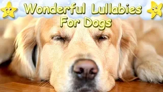 Super Relaxing Sleep Music For Golden Retrievers â™« Relax Your Puppy â™¥ Lullaby For Dogs Animal Music