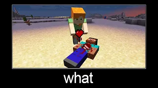 Minecraft wait what meme part 255 (Steve's heart)