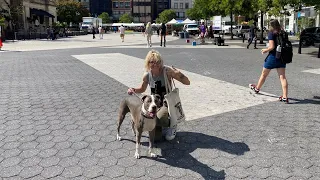 NYC LIVE Walking Labor Day In Union Square & Greenwich Village in Manhattan New York City Sept 6th