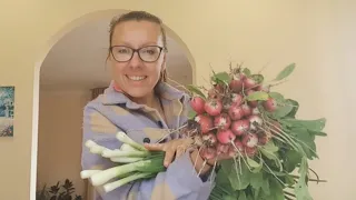 Шикарный урожай с нашего огородика 🥰 Хочу ещё земли! 😅 Сажаем синенькие) Жизнь многодетной семьи