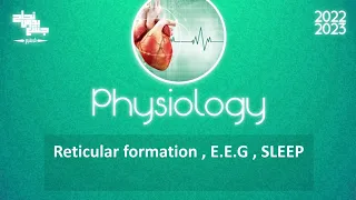 L12 , Reticular formation, EEG , Sleep, Physiology.