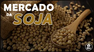 Plantio de SOJA acelerado nos EUA e mercado lento no Brasil.