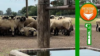 Cabaña LA MANFRINA, Argentina