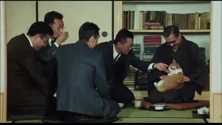 Madadayo (1993) A.Kurosawa - CAT SCENE