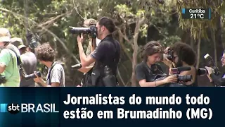 Jornalistas do mundo todo acompanham o desastre em Brumadinho | SBT Brasil (02/02/19)