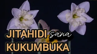 AwuuTV || JITAHIDI KUKUMBUKA