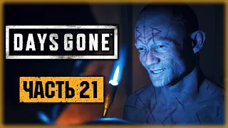 DAYS GONE #21 ☣️ - ПРЕДАТЕЛЬСТВО, ПЛЕН, ПОБЕГ И ВОЙНА! - Жизнь После (2021)