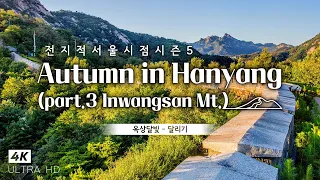 [4K Drone ✈] 이 산이 내가 정복할 그 산인가? 인왕산 랜선등산타기 😎💚  (서울의 산 part.3 인왕산)