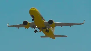 Spirit Airlines A320 NEO at Kingston Norman Manley Int'l Airport | KIN/MKJP | 02-07-20