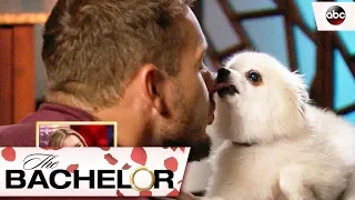 Bloopers from Colton’s Season – The Bachelor
