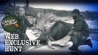 GIANT BC Moose | Web Exclusive Hunt (Record Bull Moose Hunt)