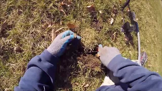 Metal detecting a park near Denver