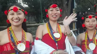 Hornbill Festival 2022 || Openning Ceremony || Naga Heritage Village Kisama.