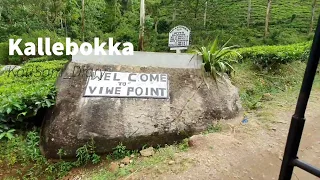 Kallebokka View Point